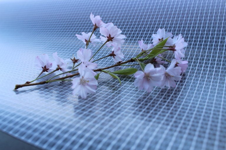 Snyder Manufacturing KlearSpan clear fabric with pink flowers on top